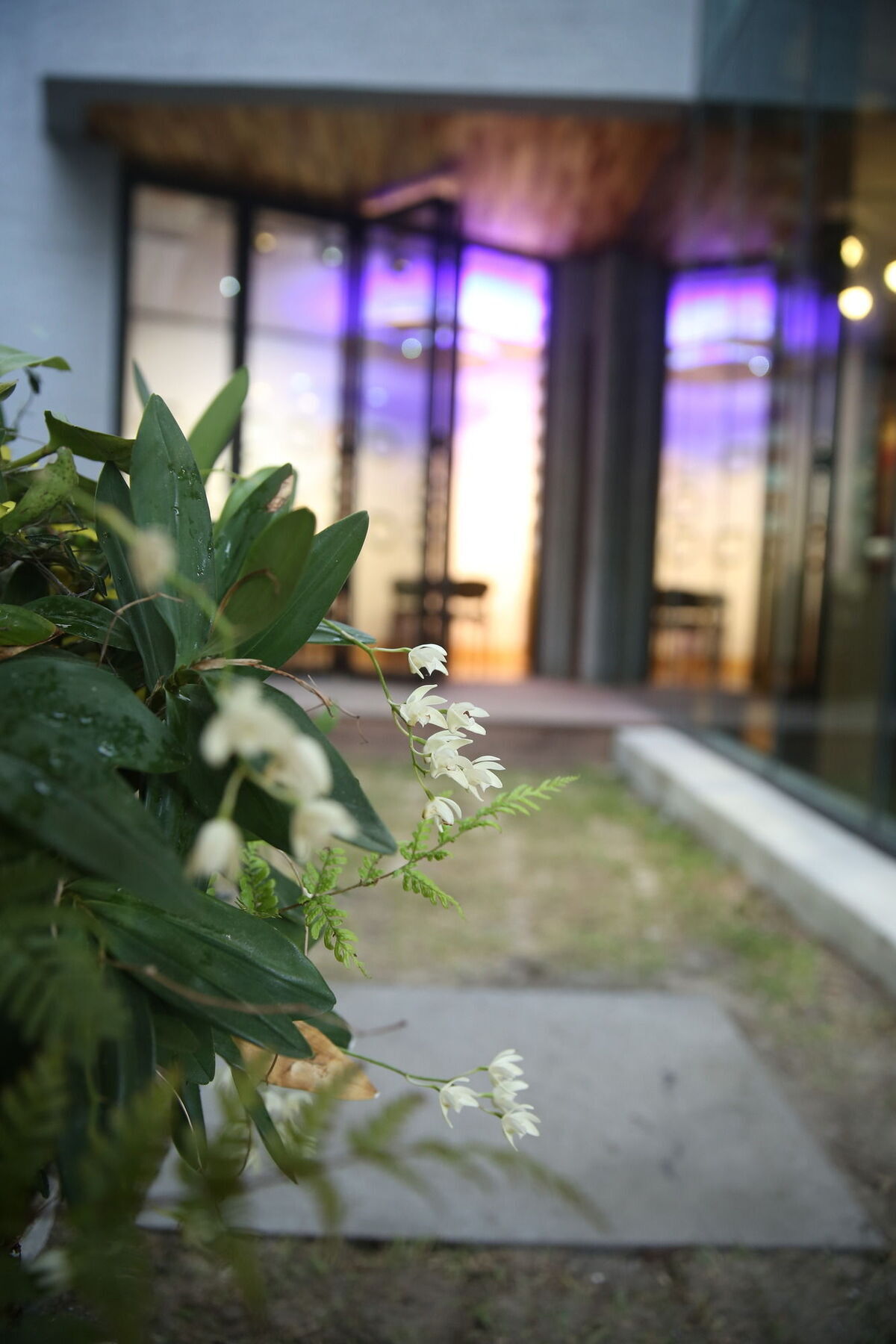 Villa Sogondak House Jeju Exterior foto